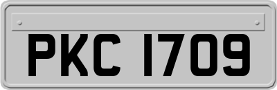 PKC1709