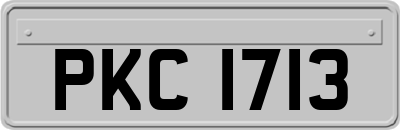 PKC1713