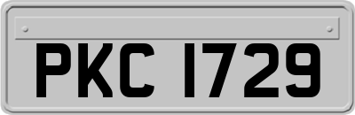 PKC1729
