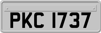 PKC1737