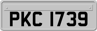 PKC1739