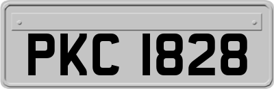 PKC1828