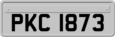 PKC1873