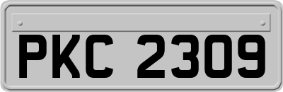PKC2309