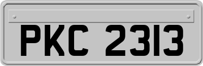 PKC2313