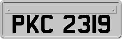 PKC2319