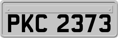 PKC2373
