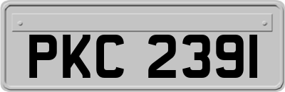 PKC2391