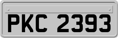 PKC2393