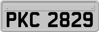 PKC2829
