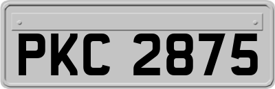 PKC2875