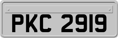 PKC2919