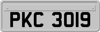 PKC3019
