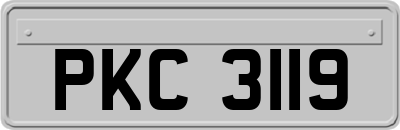 PKC3119