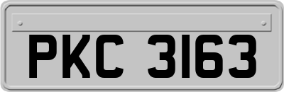 PKC3163
