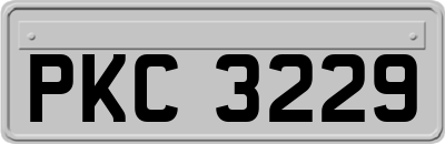 PKC3229
