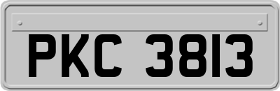 PKC3813