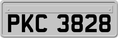 PKC3828