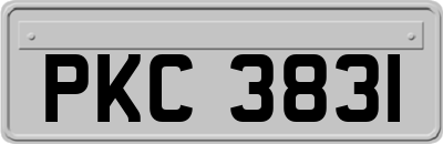 PKC3831