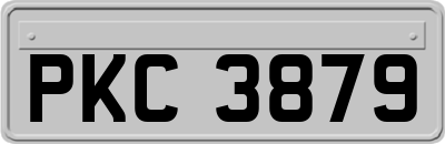 PKC3879