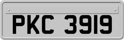 PKC3919