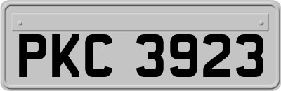 PKC3923