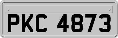 PKC4873