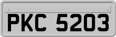 PKC5203