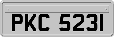 PKC5231