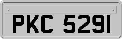 PKC5291