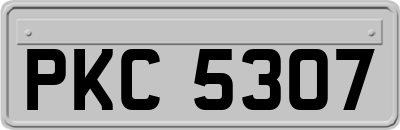 PKC5307