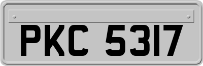 PKC5317