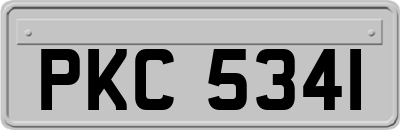 PKC5341