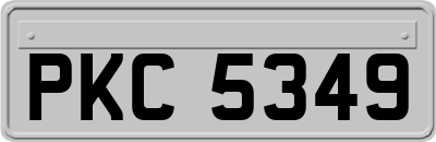 PKC5349