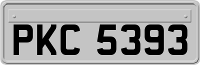 PKC5393