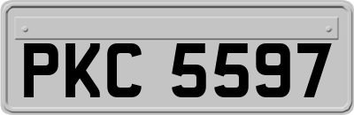PKC5597