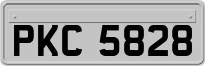 PKC5828