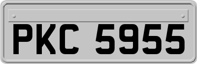 PKC5955