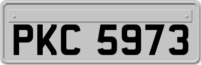 PKC5973