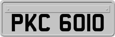 PKC6010