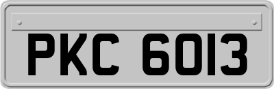 PKC6013