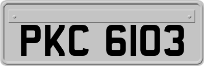 PKC6103