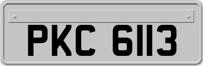 PKC6113