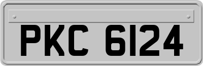 PKC6124
