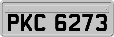 PKC6273