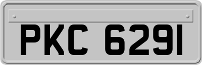 PKC6291