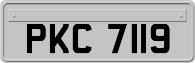 PKC7119