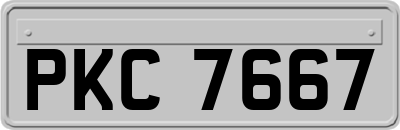 PKC7667