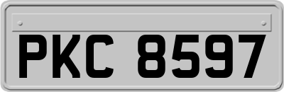 PKC8597