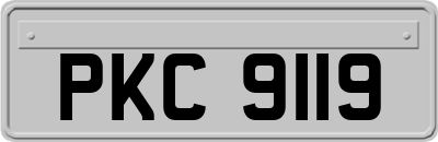PKC9119